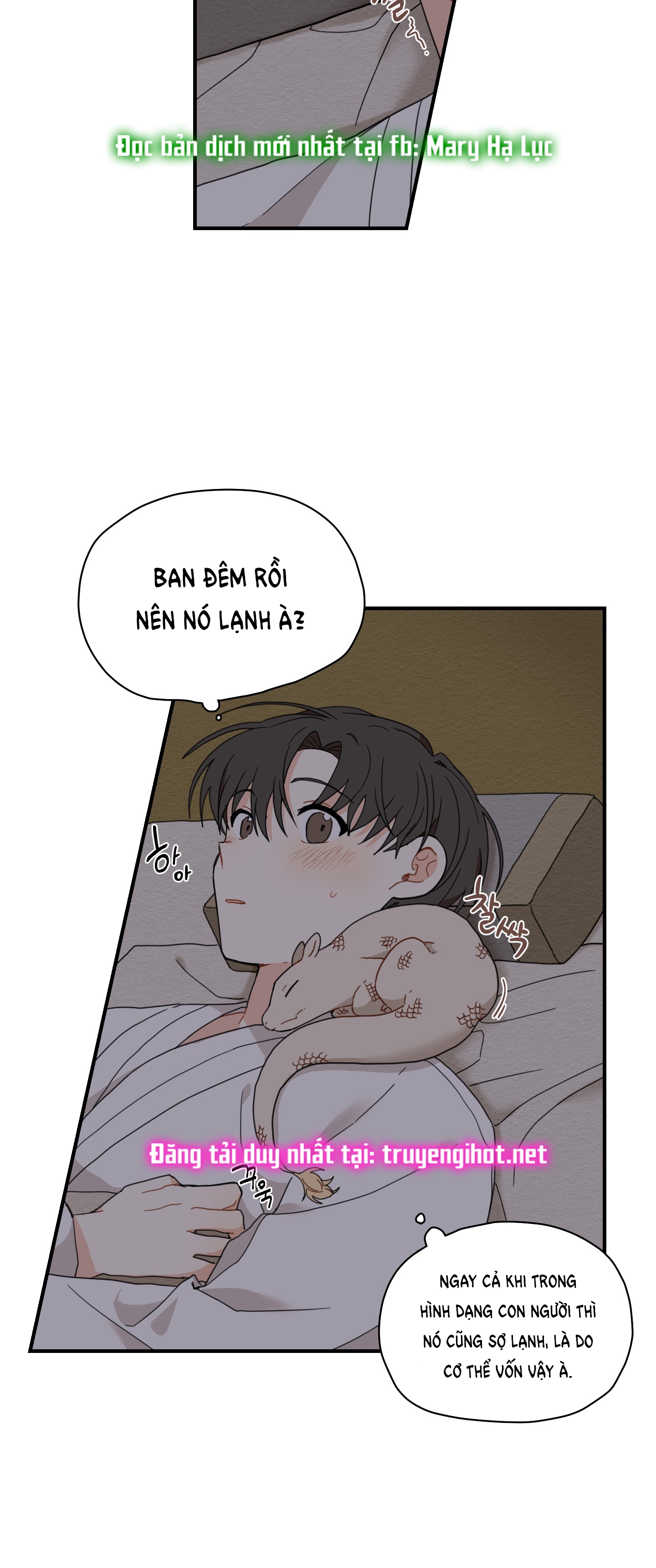 [18+] con đường hoa chuông vàng - liên kiều rơi chốn này chapter 5.2 19