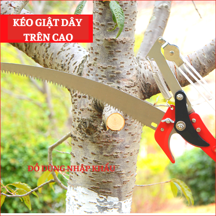 Kéo cắt cành cộng lực trên cao thiết kế giật dây-Bộ đầu kéo kèm lưỡi cưa