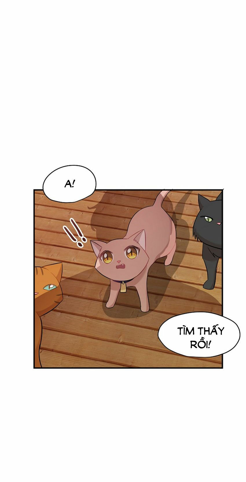 cuộc sống kỳ thú chapter 21 21