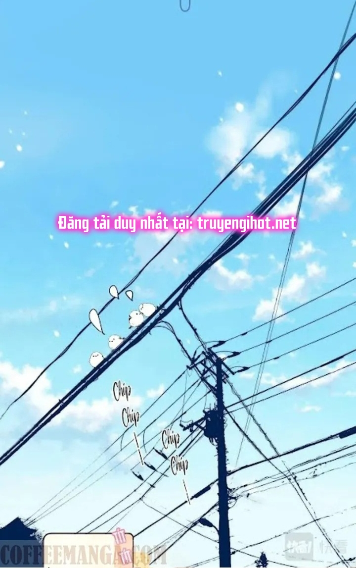 vụng trộm không thể giấu - mối tình thầm kín chapter 11 38