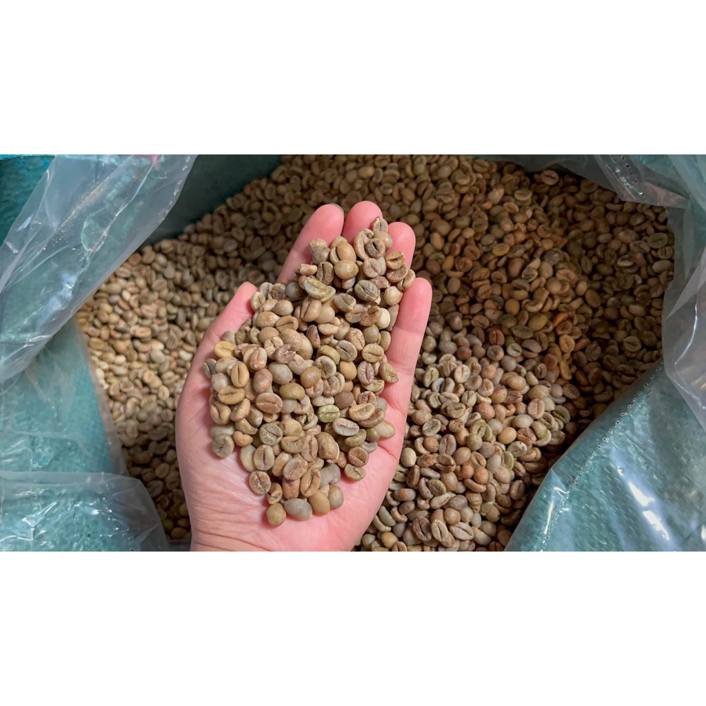 500g Cà Phê Nhân Robusta