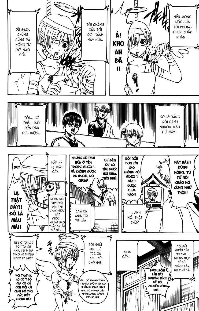 gintama - linh hồn bạc chapter 343 11