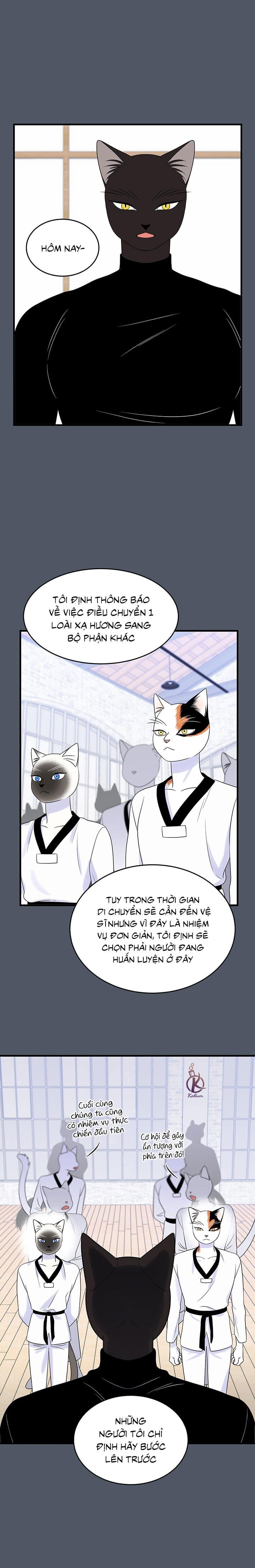 dự án xanh chapter 40 14