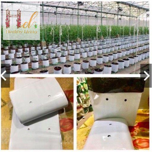 Túi Ươm Cây 2 Da, Túi Nilon Trồng Dưa Lưới, Dưa Leo, Dưa Lê, Cà Chua, Cà Rốt 20x40cm - 16 cái - 0.5Kg