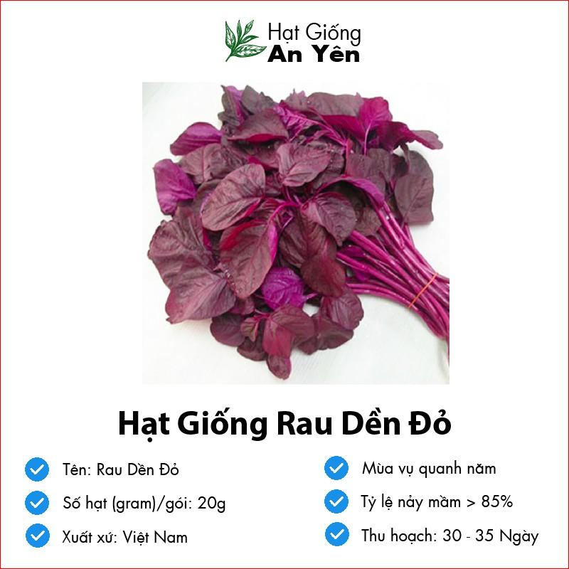 Hạt giống Rau Dền Đỏ thu hoạch sớm, dễ trồng, nảy mầm cao, sinh trưởng khoẻ