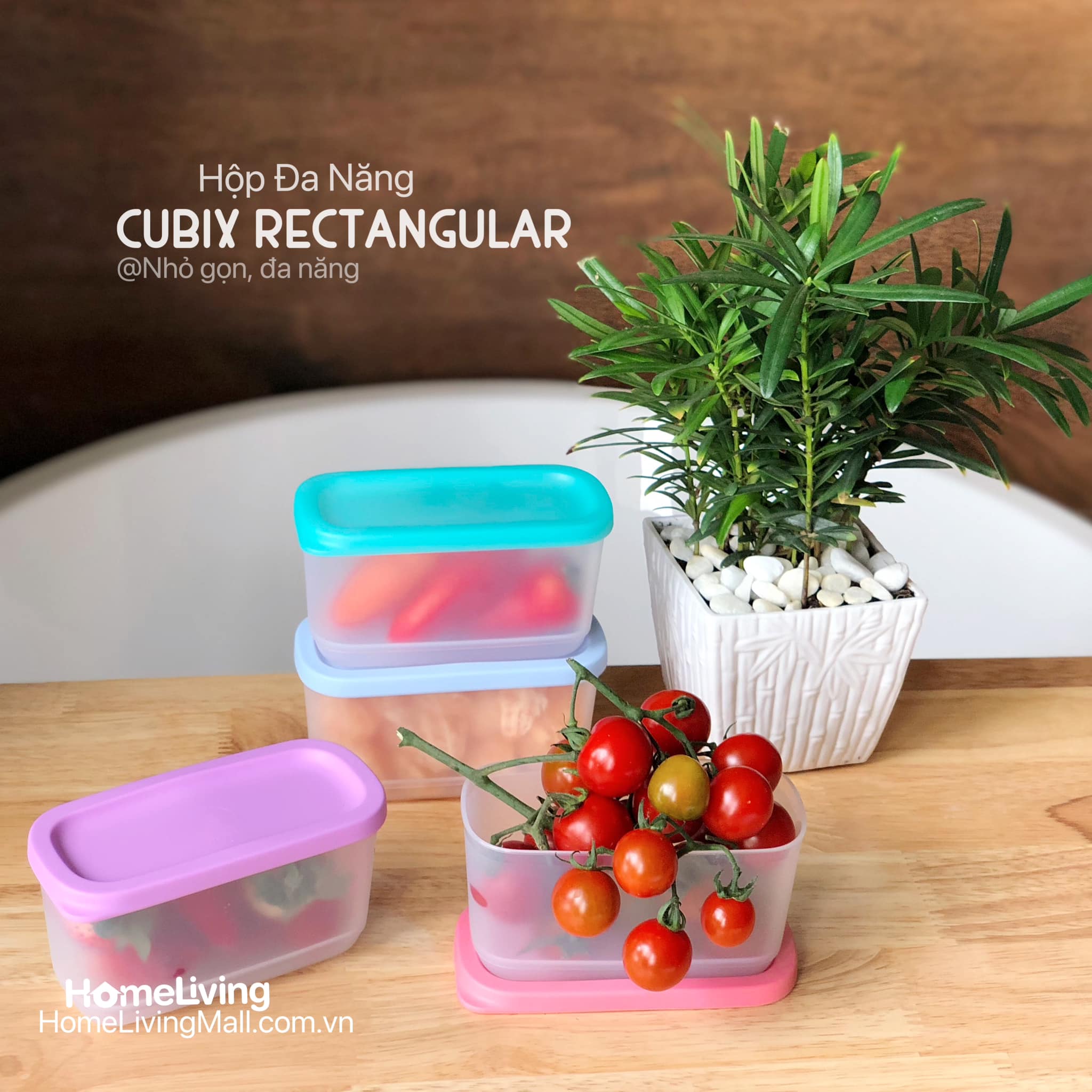 Bộ Trữ Khô & Mát Tupperware Mini Cubix Rectangular 250ml Set 4