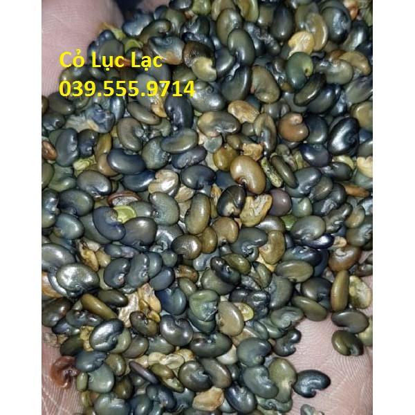 Hạt Cỏ Lục Lạc - Cỏ Chăn Nuôi Dinh Dưỡng Cao 300g