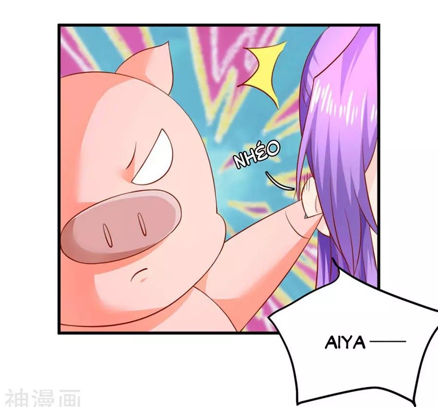 từ đây vương gia không thượng triều sớm chapter 100 1