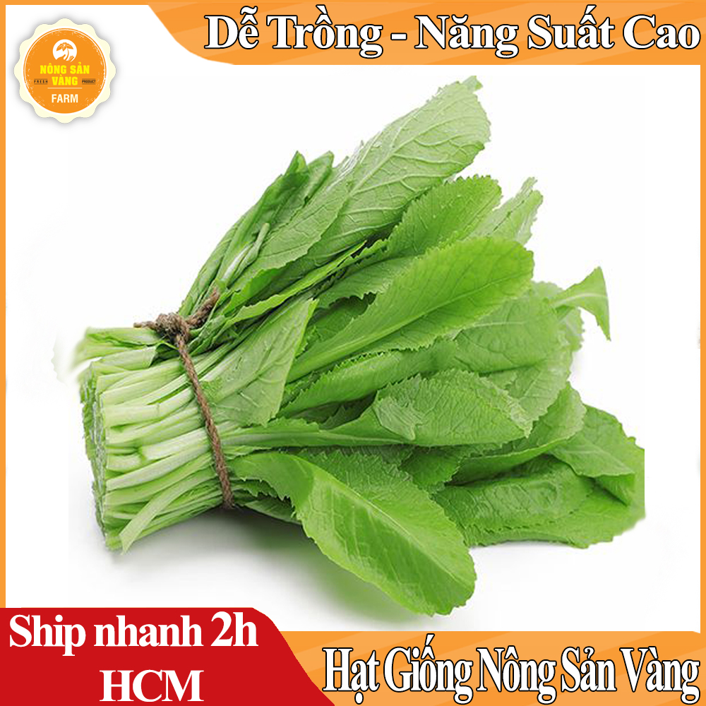 Hạt giống Cải Cay (Cải Bẹ Xanh), Dễ Trồng, Dễ Chăm Sóc, Sinh Trưởng Tốt, Kháng Bệnh Tốt( Gói 10 Gram ) - Nông Sản Vàng