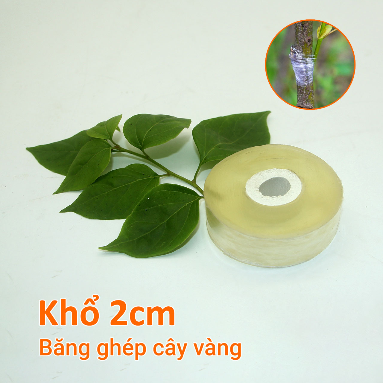 Băng ghép cây vàng khổ 2cm