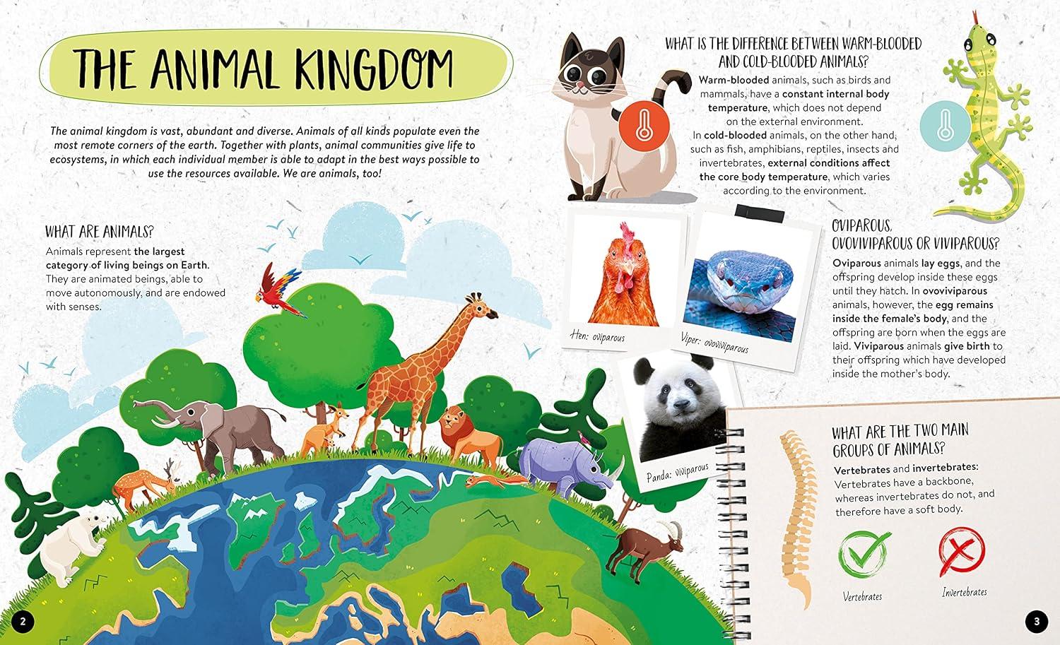 Sách ngoại văn: What How Why Animals