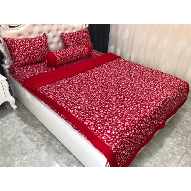 Drap thun hàn quốc