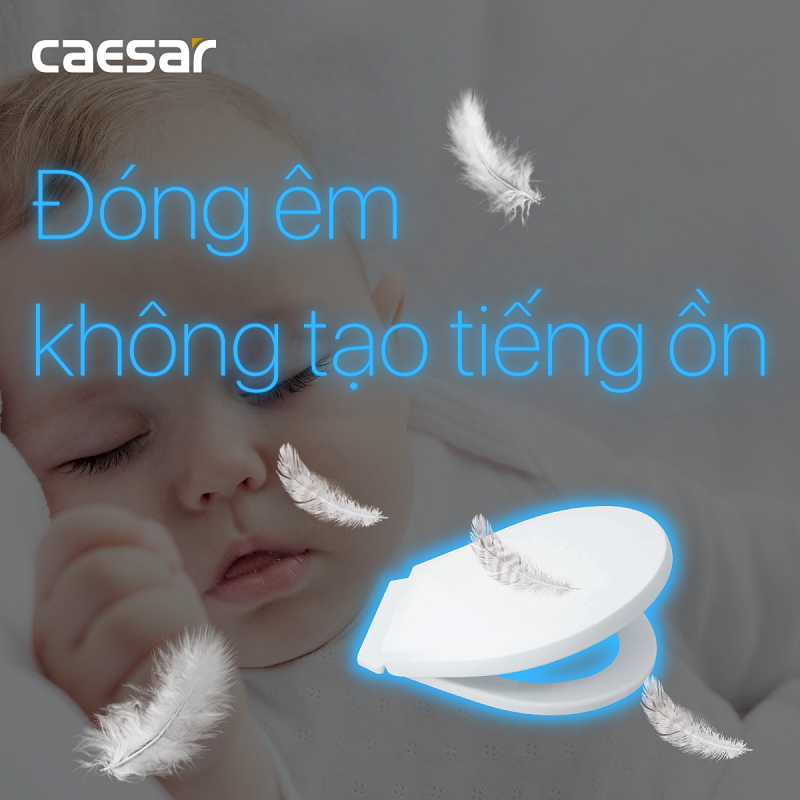 Nắp nhựa đóng êm bàn cầu trẻ em Caesar - M284 - Hàng chính hãng