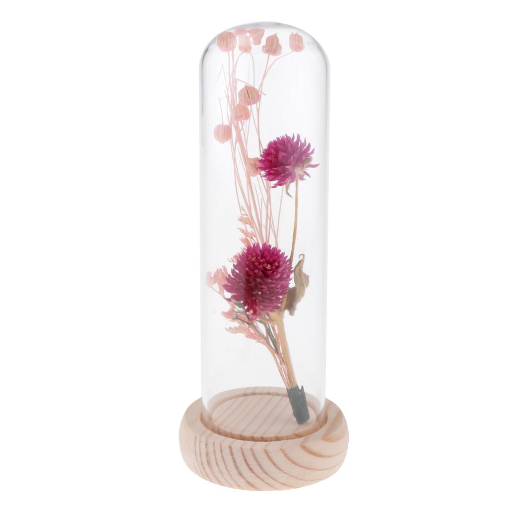Romantic Dried Flower Plant Ornament Micro Landscape Glass Cover Purple