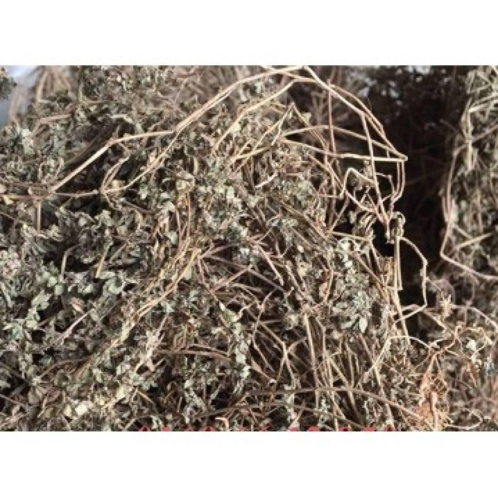 cỏ sữa thân tím đóng túi 1kg