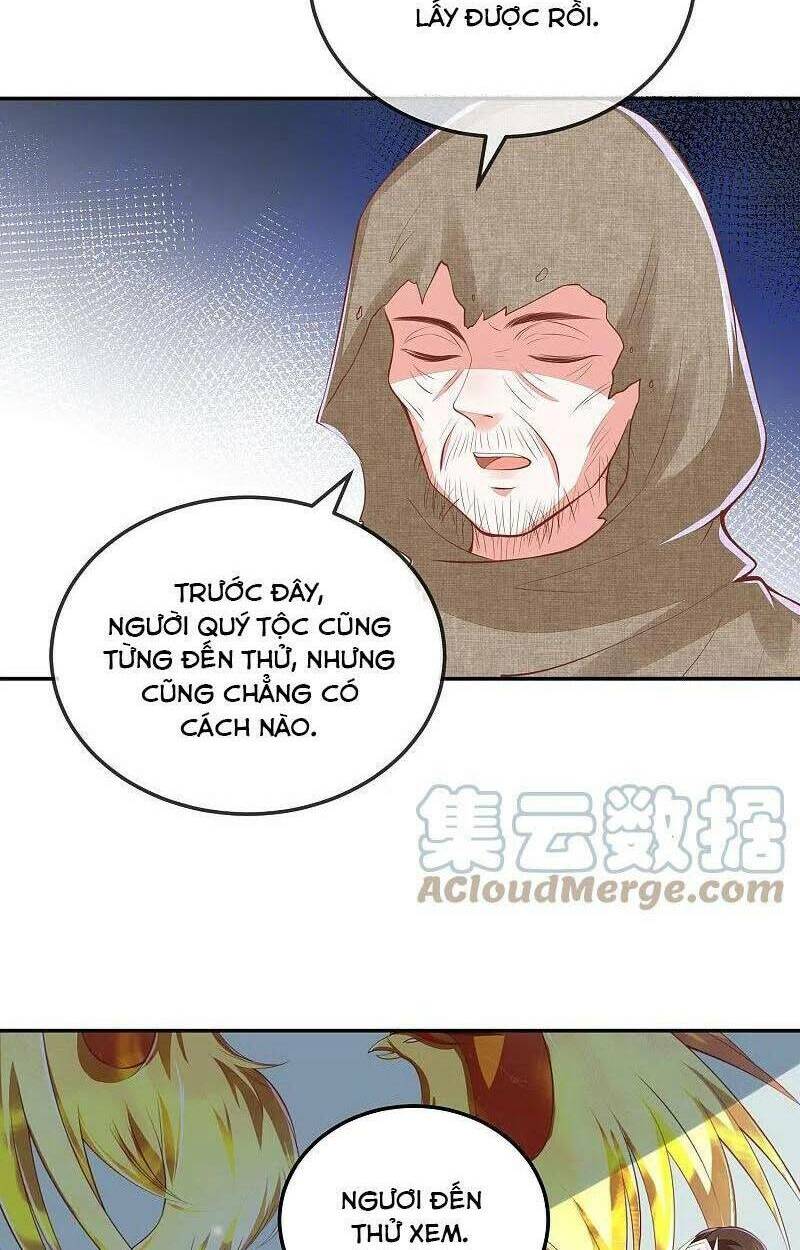 Phượng Hoàng Thác: Chuyên Sủng Khí Thê Chapter 254 - Trang 8