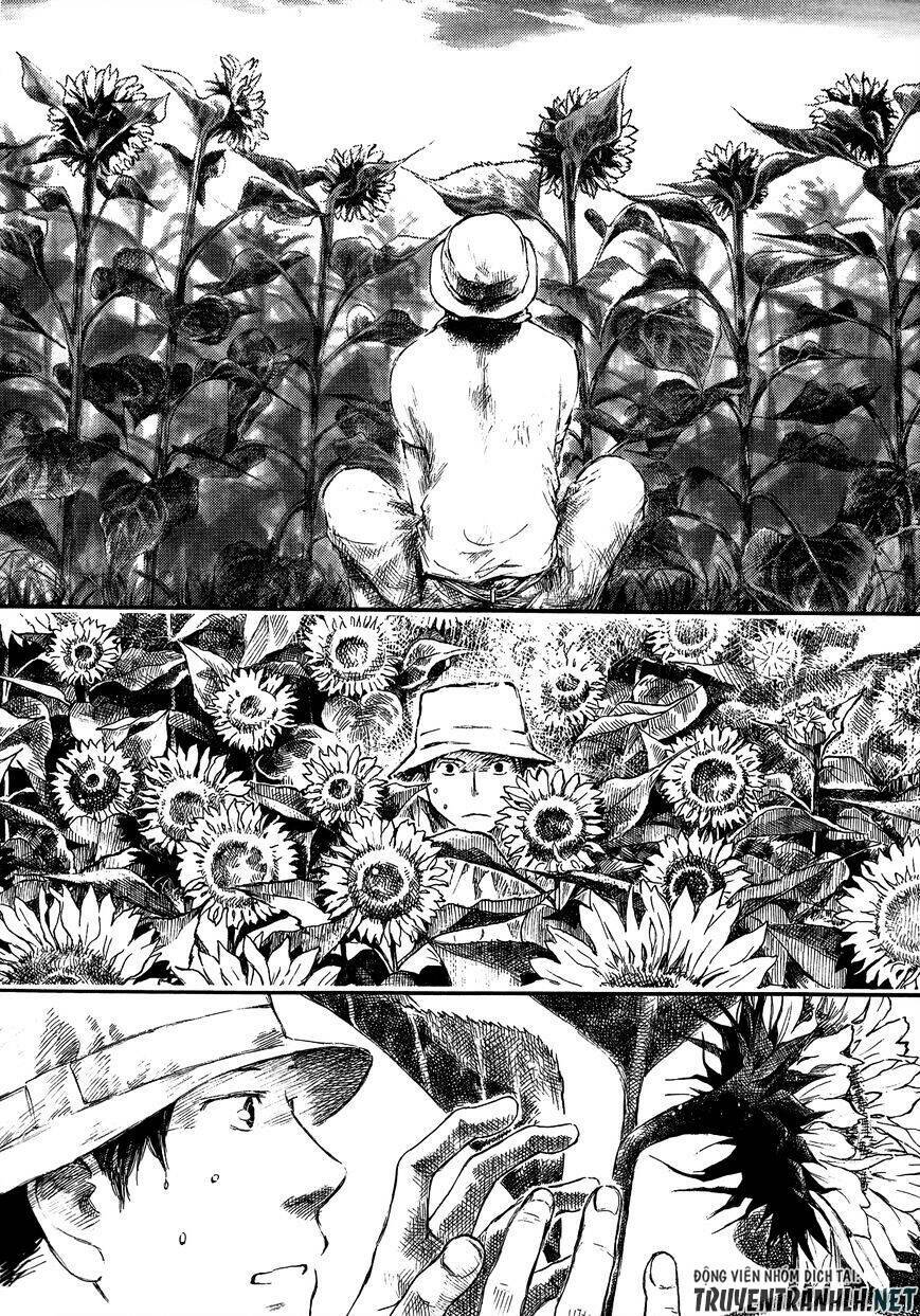 natsu no zenjitsu chapter 16 11