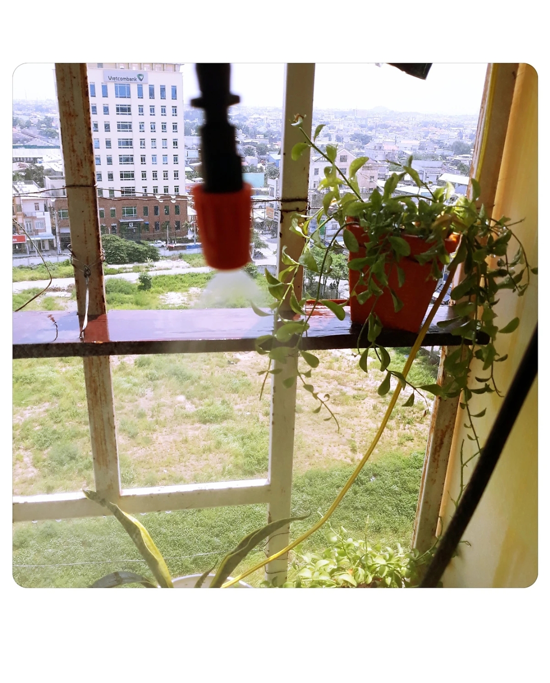10 béc phun sương tưới cây 1 hướng và T nối nhanh