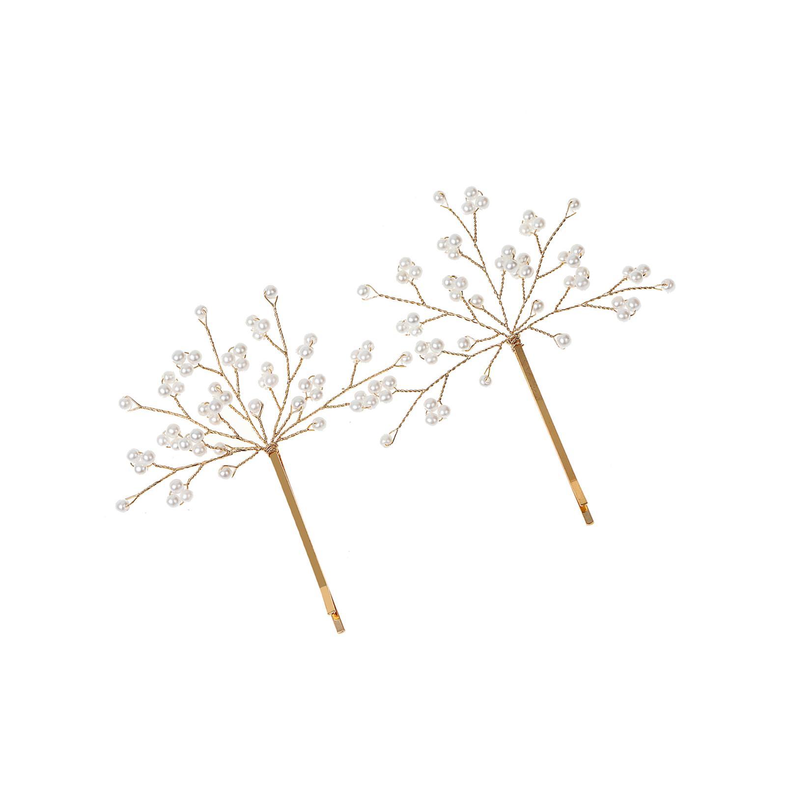 2Pcs Hair Clips Elegant Hair Styling Tool Hair Accessories Snap Hairpins