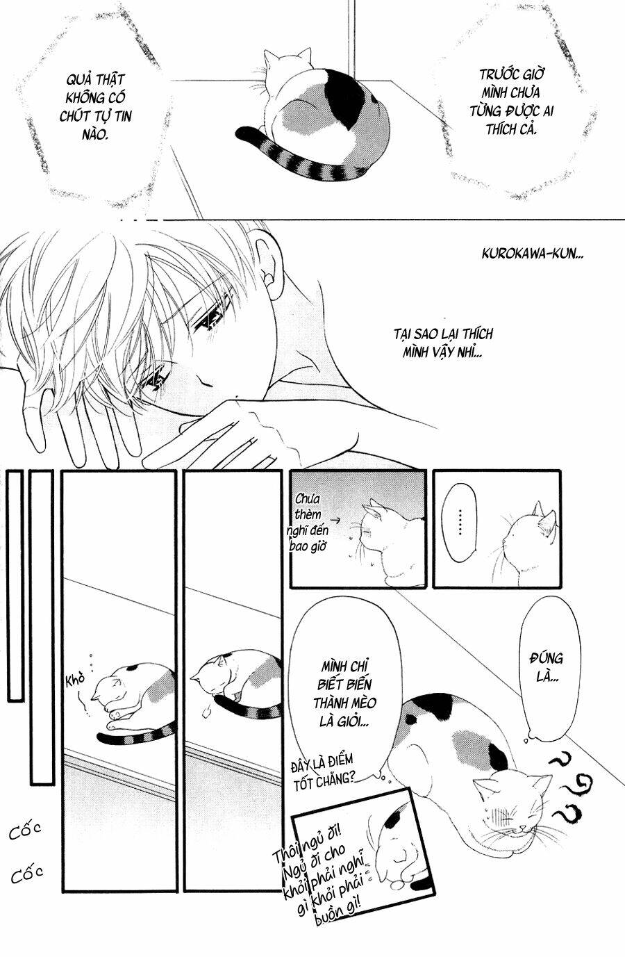 neko neko honey chapter 10 14