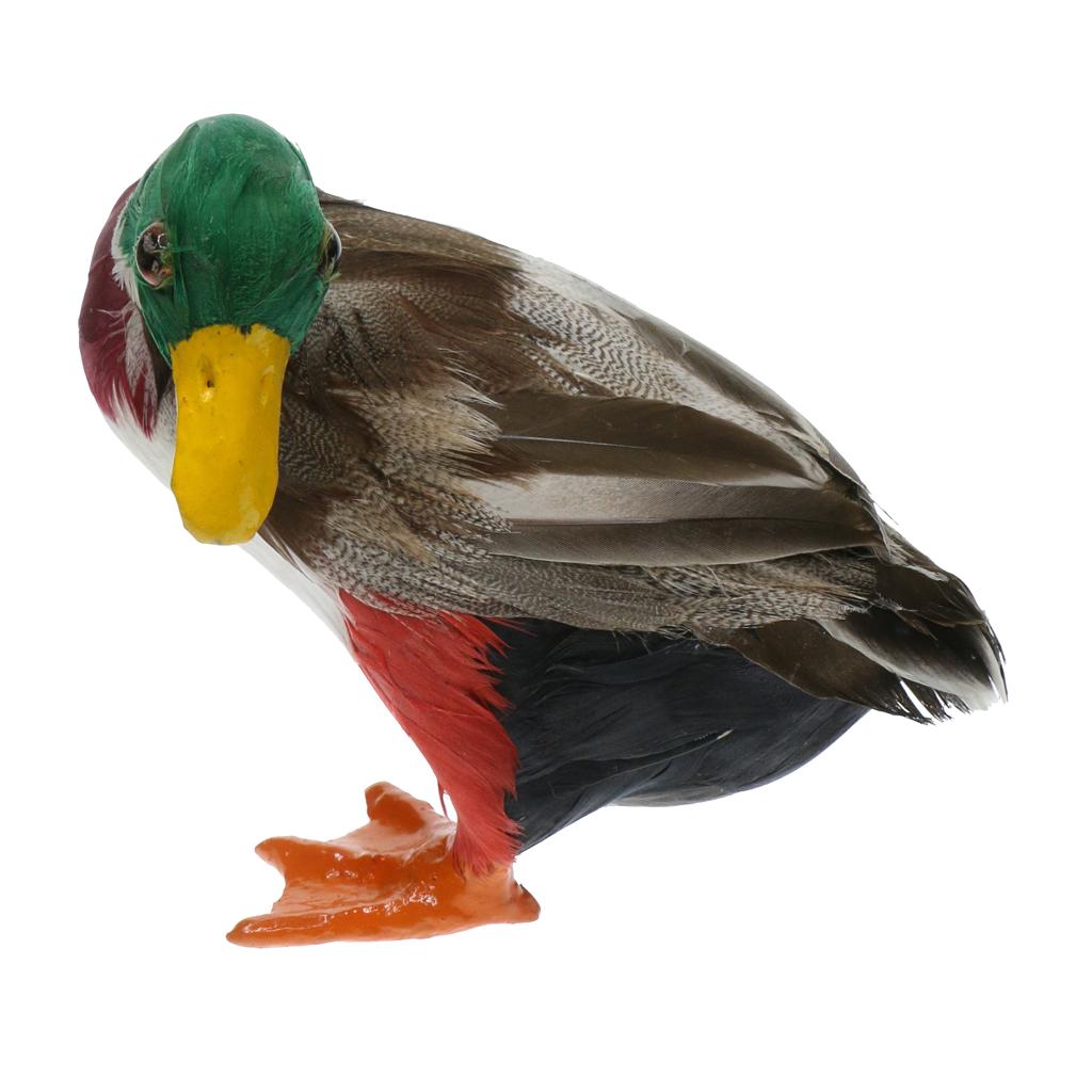 2xRealistic Duck Ornament Decoy Home Garden Water Pond Decor Mallard Duck S