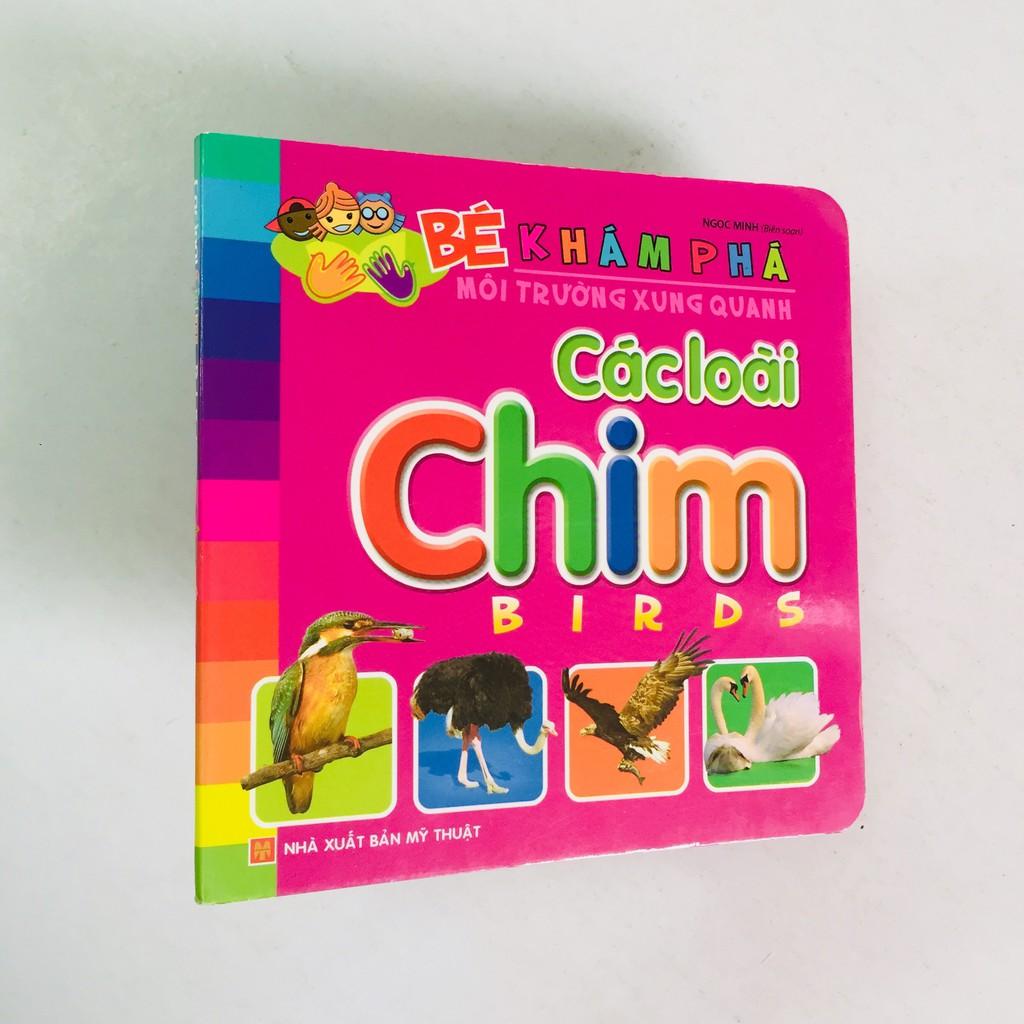 Sách – Bé Khám Phá Môi Trường Xung Quanh  - Động vật nuôi - Động vật hoang dã - Đồ dùng gia đình - Trái cây - Rau củ - Động vật dưới nước - Giao thông - Chim