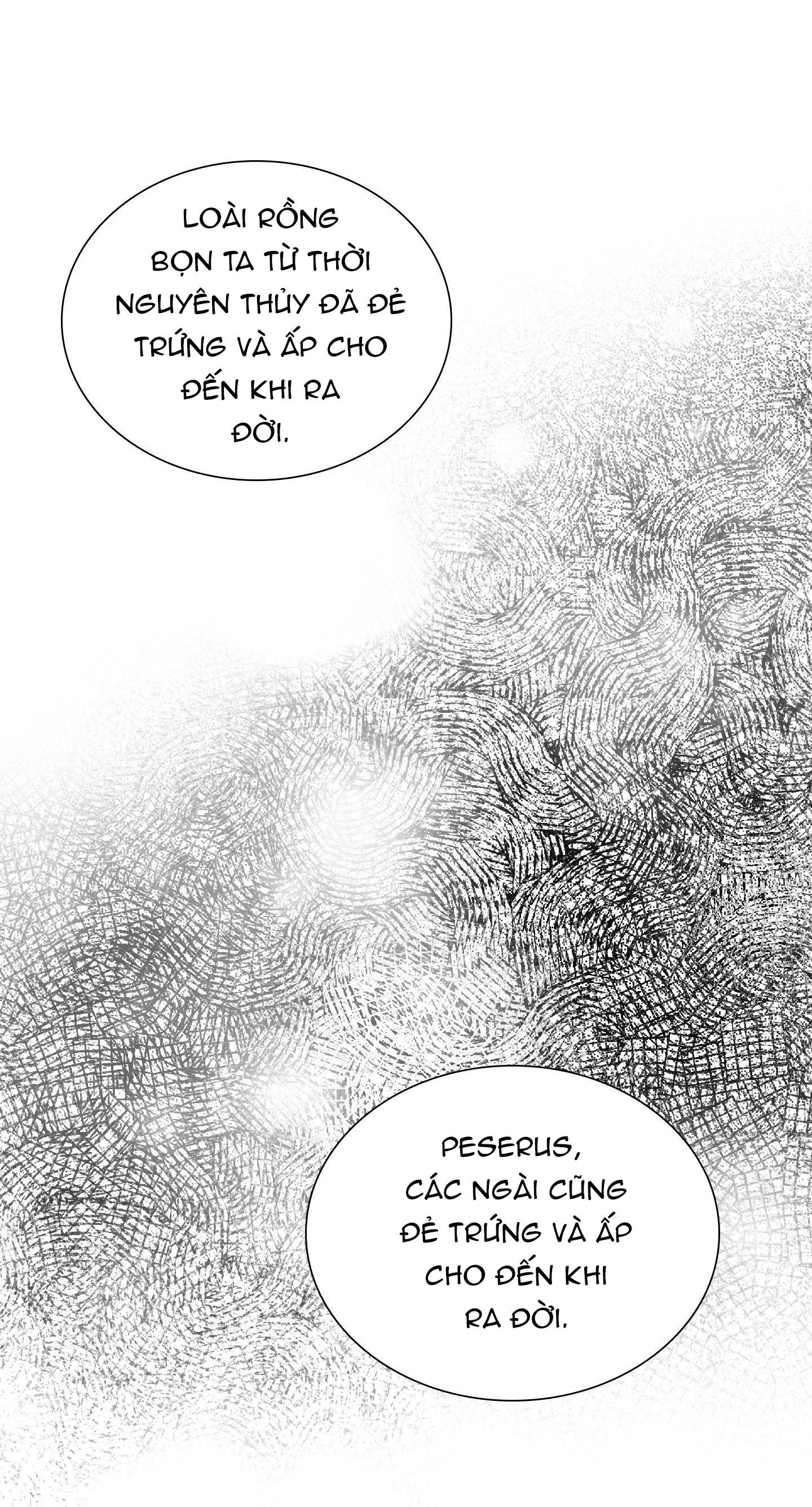 smyrna và capri chapter 53 46