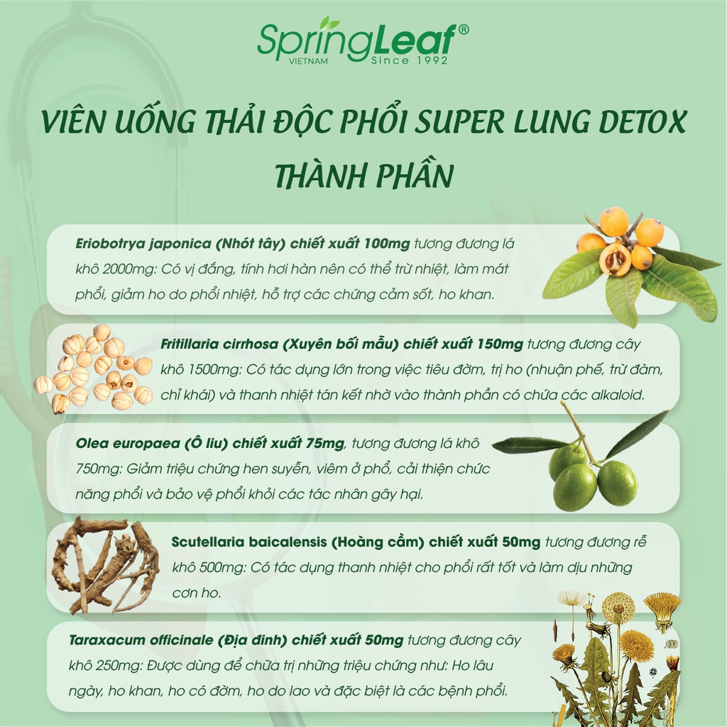 Thải độc phổi, thanh lọc phổi, giảm các bệnh về hô hấp, ho, tức ngực Viên uống thải độc phổi SpringLeaf Super Lung Detox 60 viên