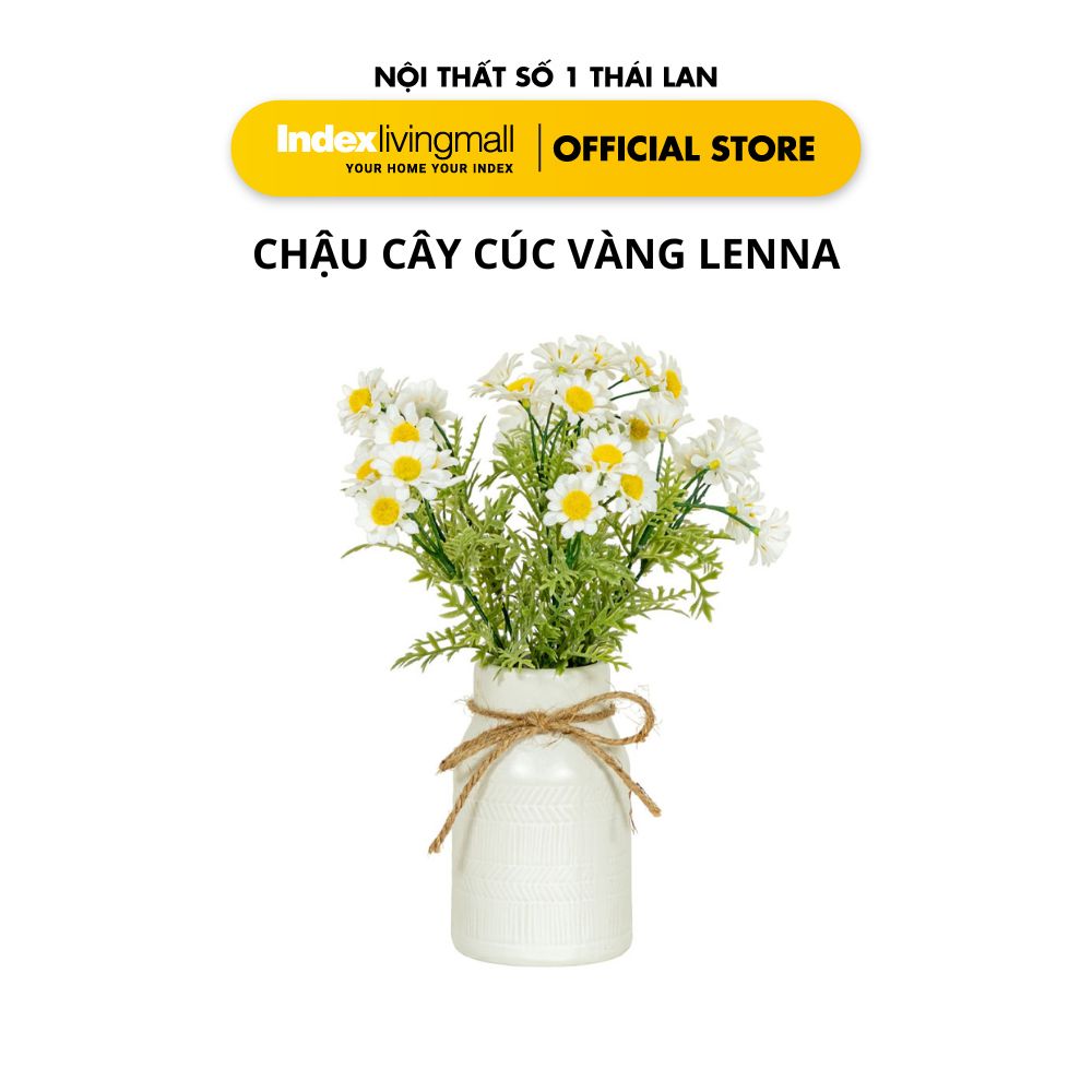Chậu Cây Cúc Vàng LENA Với Bình Gốm Trang Trí Nhà Cửa | Index Living Mall | Nội Thất Nhập Khẩu Thái Lan - Phân Phối Độc Quyền Tại Việt Nam