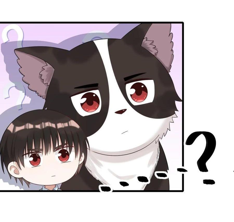 tức thời phạm quy [ tức thì vi quy ] chapter 30 20