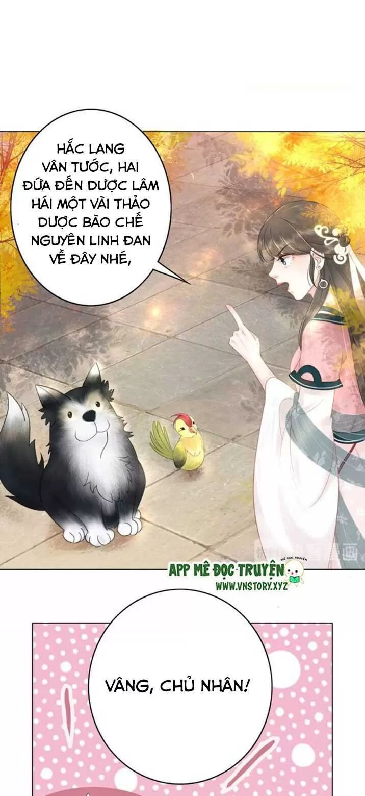 cực phẩm phế vật tiểu thư chapter 43 10