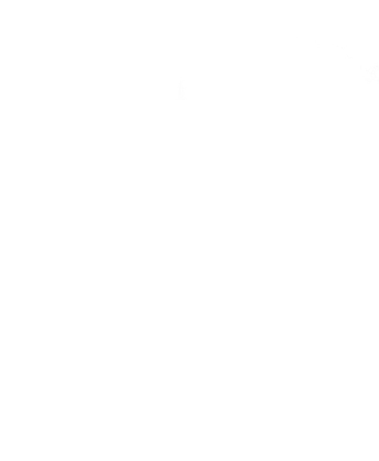 hợp đồng hôn nhân với hai người chồng chapter 13.2 5