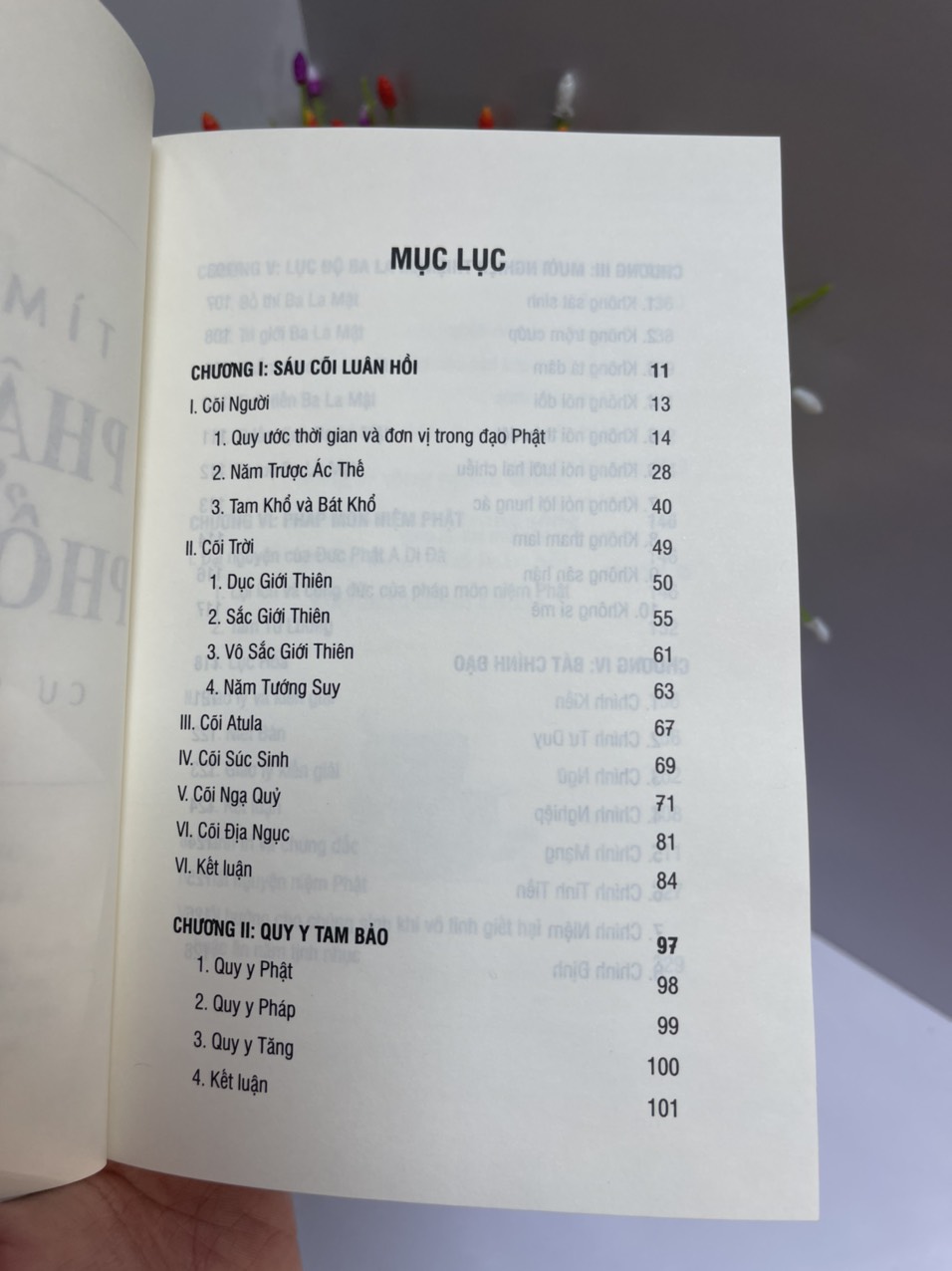 TÌM HIỂU PHẬT HỌC PHỔ THÔNG - Cư sĩ Đức Minh - Thái Hà - NXB Tôn Giáo