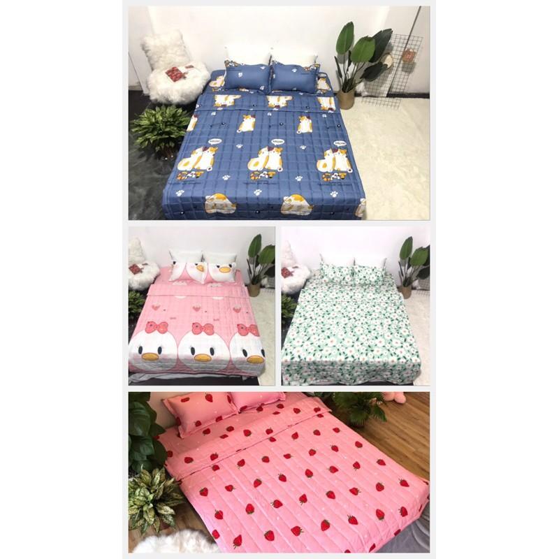 Bộ ga gối chăn trần hè cotton poly 1m6x2m