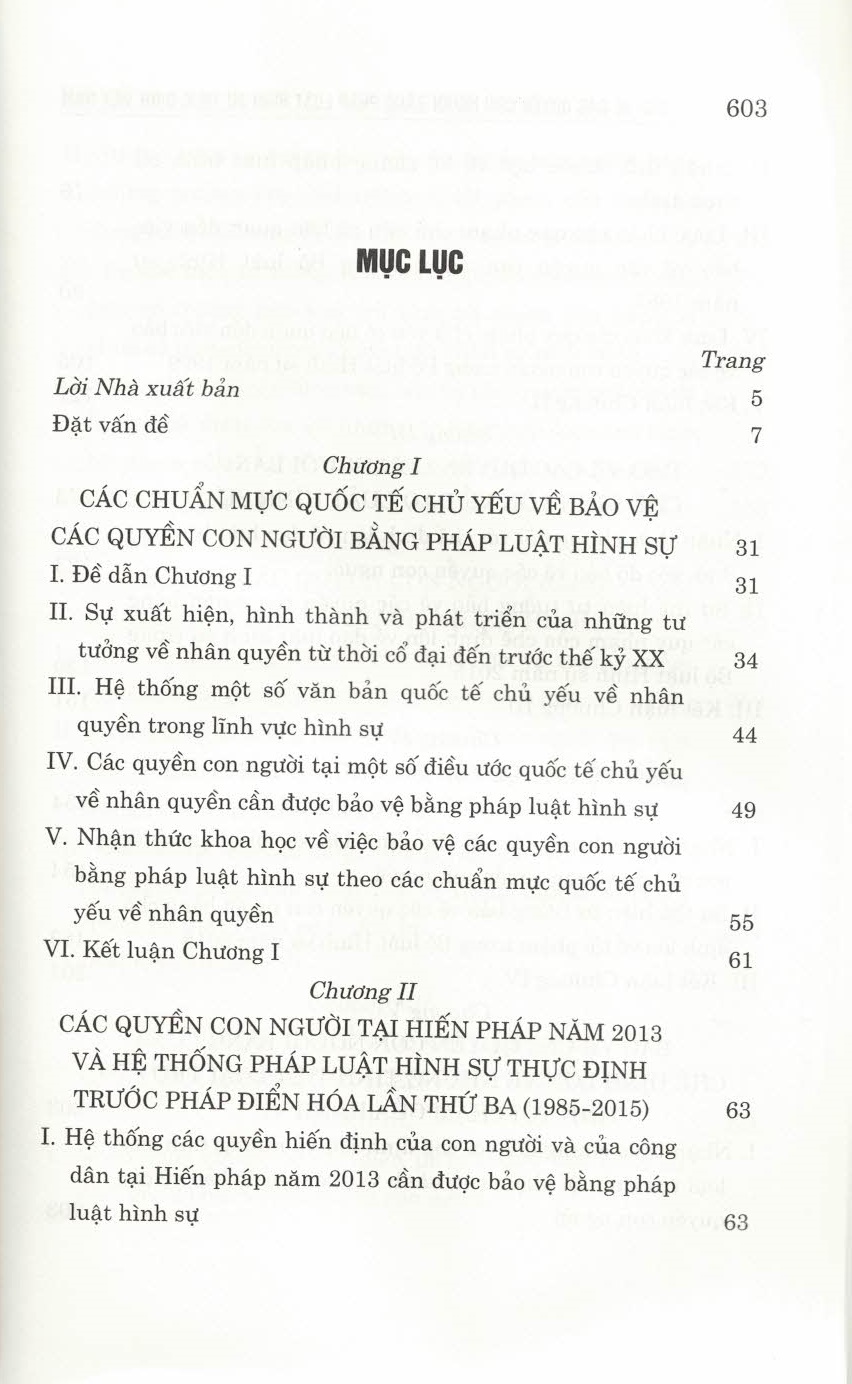 Bảo Vệ Các Quyền Con Người Bằng Pháp Luật Hình Sự Thực Định Việt Nam (Sách chuyên khảo)