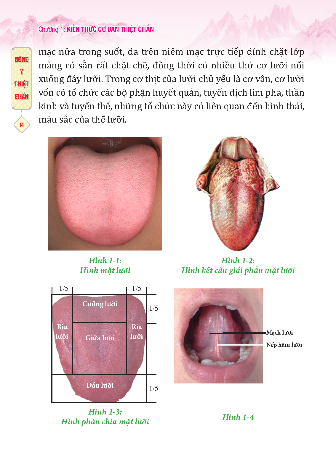 Đông Y Thiệt Chẩn (Tái Bản 2023)