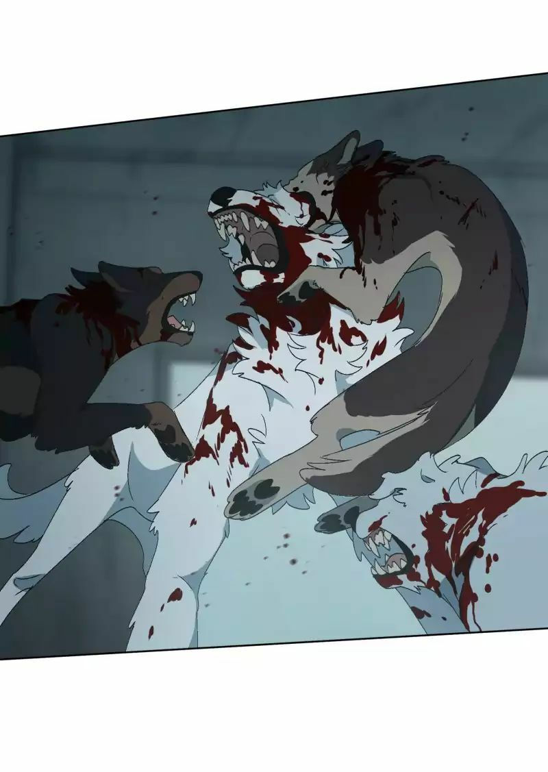 lumine - cội nguồn ánh sáng chapter 28 22