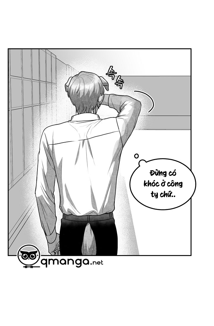 khi cún biết yêu chapter 12 11