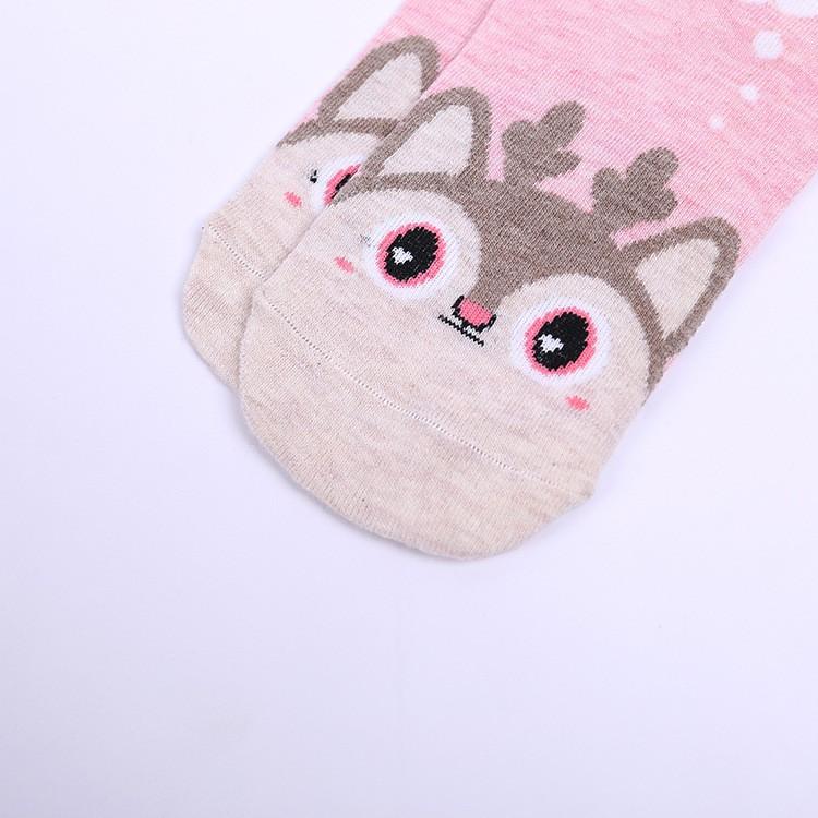Set 05 đôi tất cổ ngắn