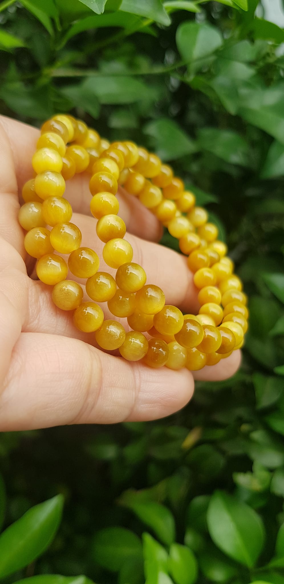 Vòng tay nữ đá mắt hổ tự nhiên vàng anh vip 6mm quấn tay 3 vòng đẹp vòng màu vàng anh tươi đẹp hợp nữ mệnh kim mệnh thổ mệnh thuỷ đeo tay may mắn xinh đẹp sang tay ạ
