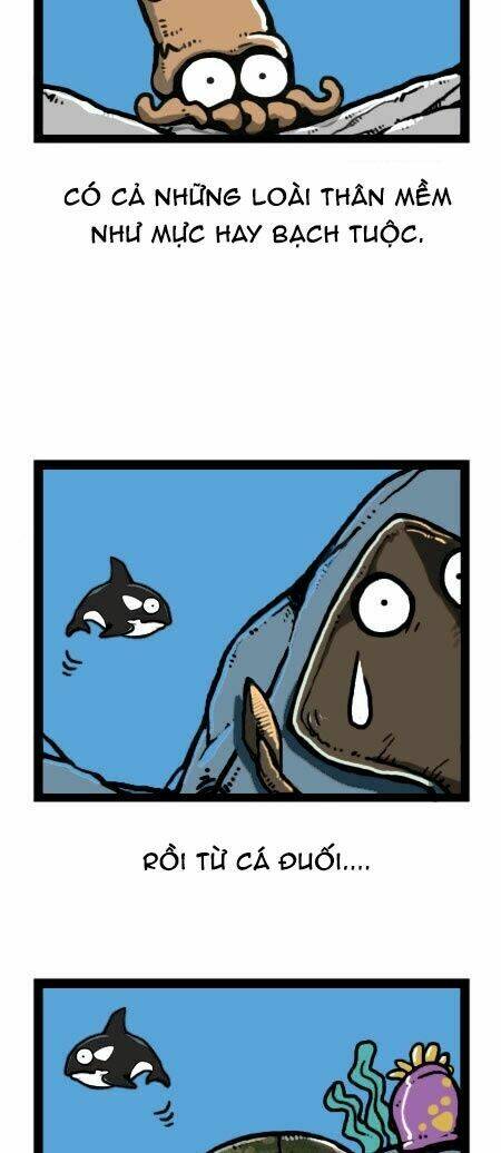 earth, human, and animal chapter 23 17