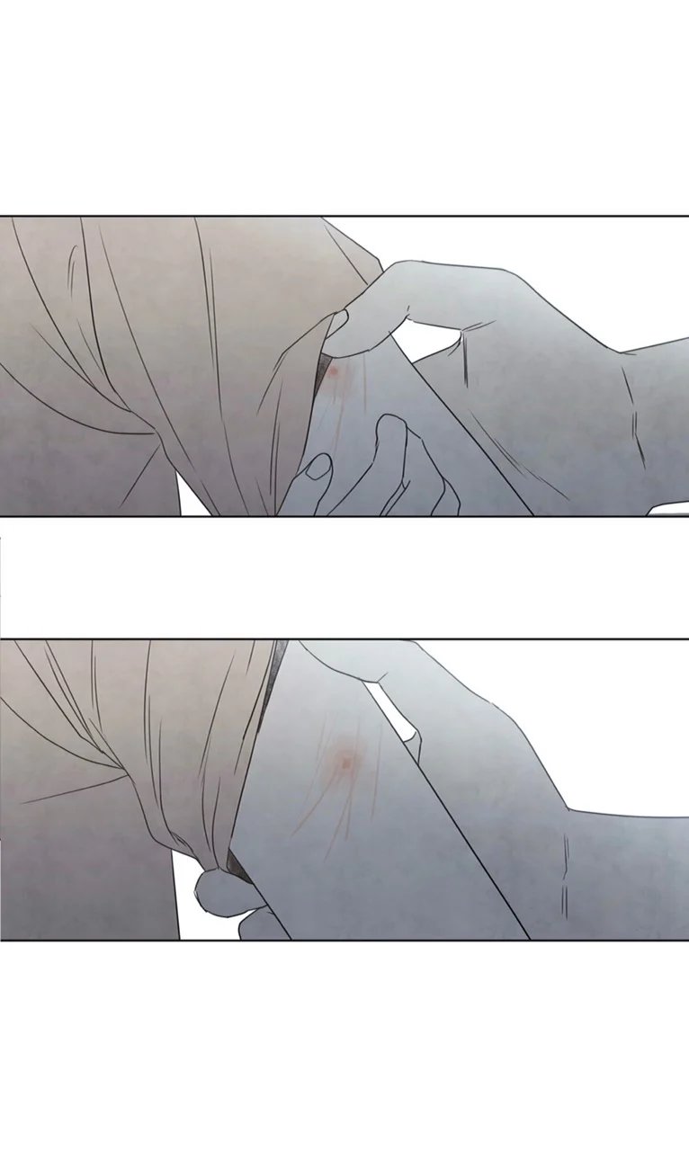 summer solstice point chapter 2 25