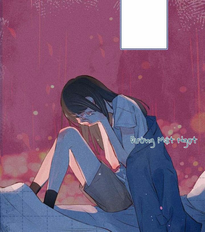 nỗi buồn của hoa cẩm tú cầu chapter 15 10