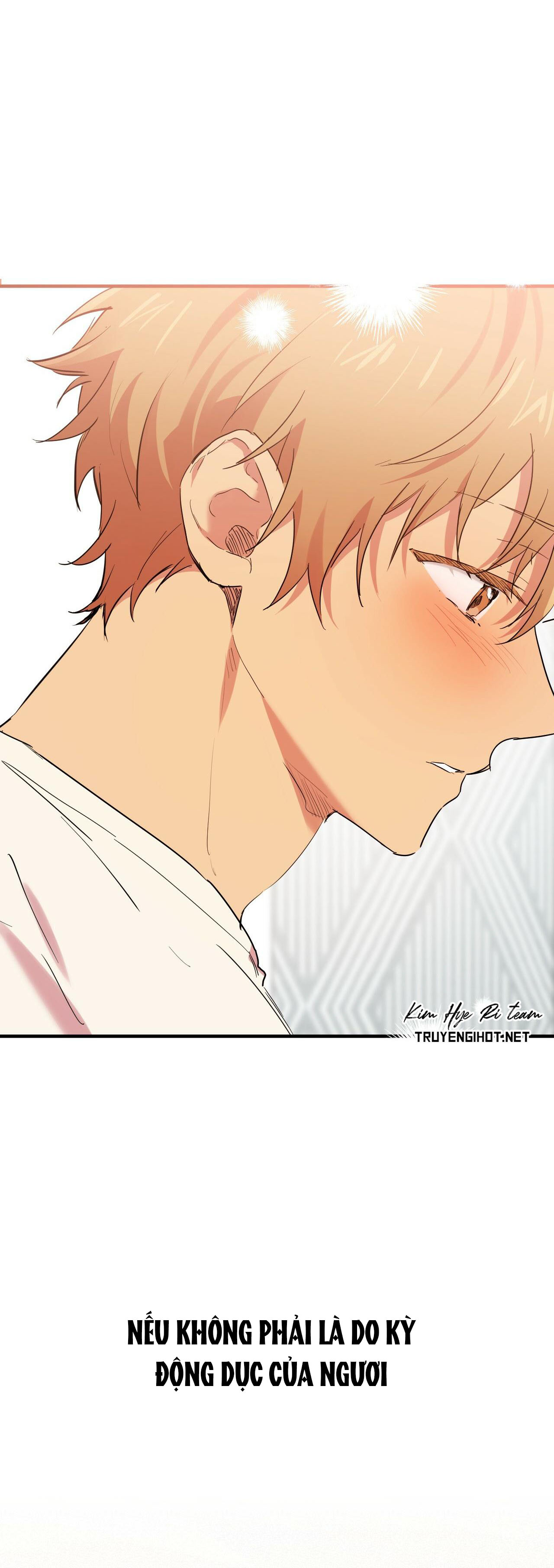 những chú thỏ của hapypy chapter 13 41