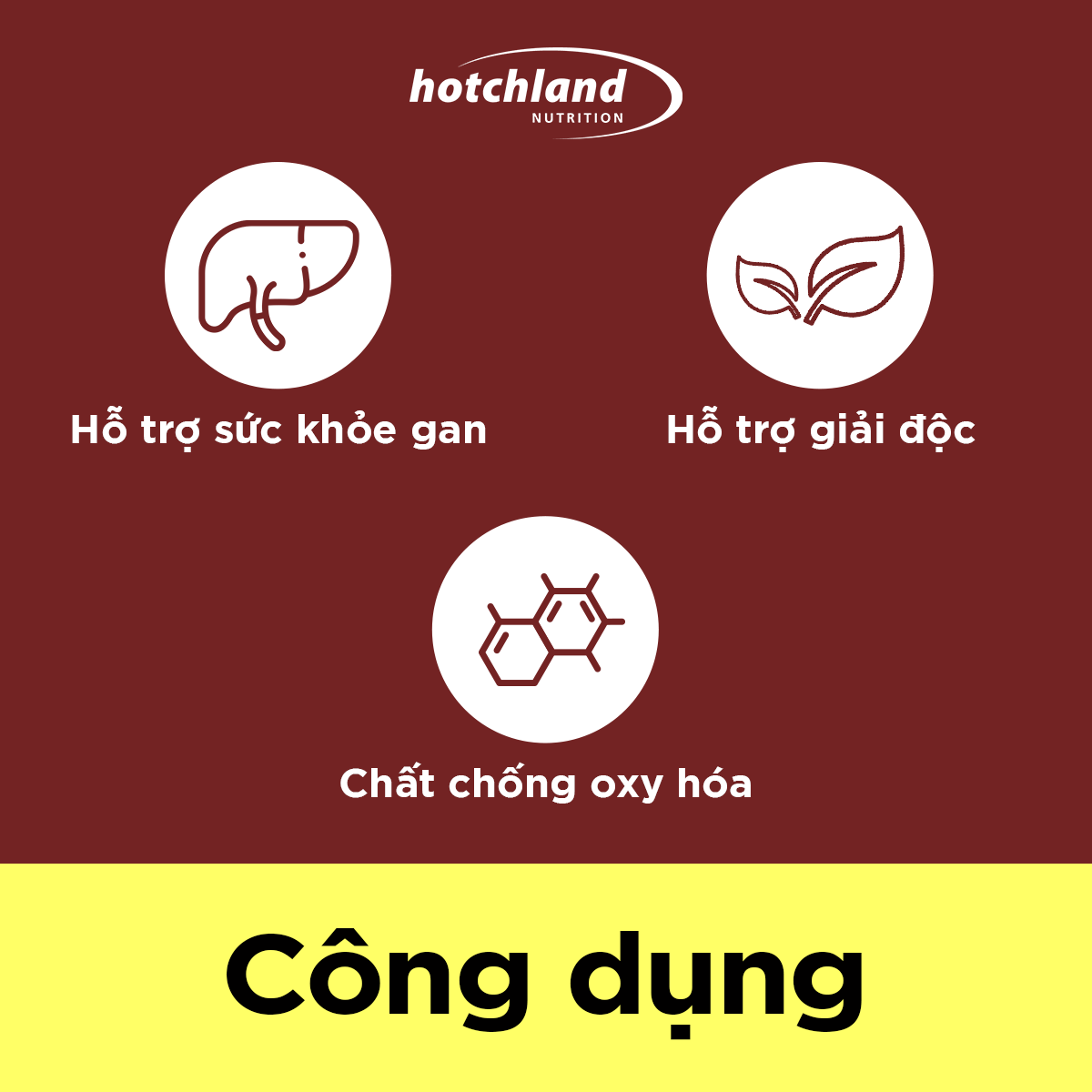 Viên uống hỗ trợ giải độc, hạ men gan, gan nhiễm mỡ, giải độc gan hiệu quả Hotchland Mega Liver TPBVSK-Hàng chính hãng -HL0122