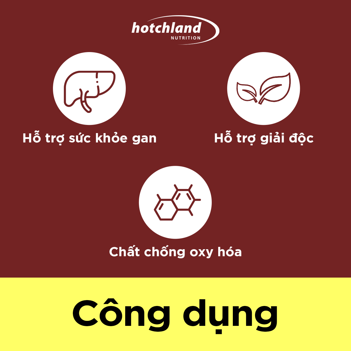 Viên uống hỗ trợ giải độc, hạ men gan, gan nhiễm mỡ, giải độc gan hiệu quả Hotchland Mega Liver TPBVSK-Hàng chính hãng [Hộp 30 viên]-HL0122