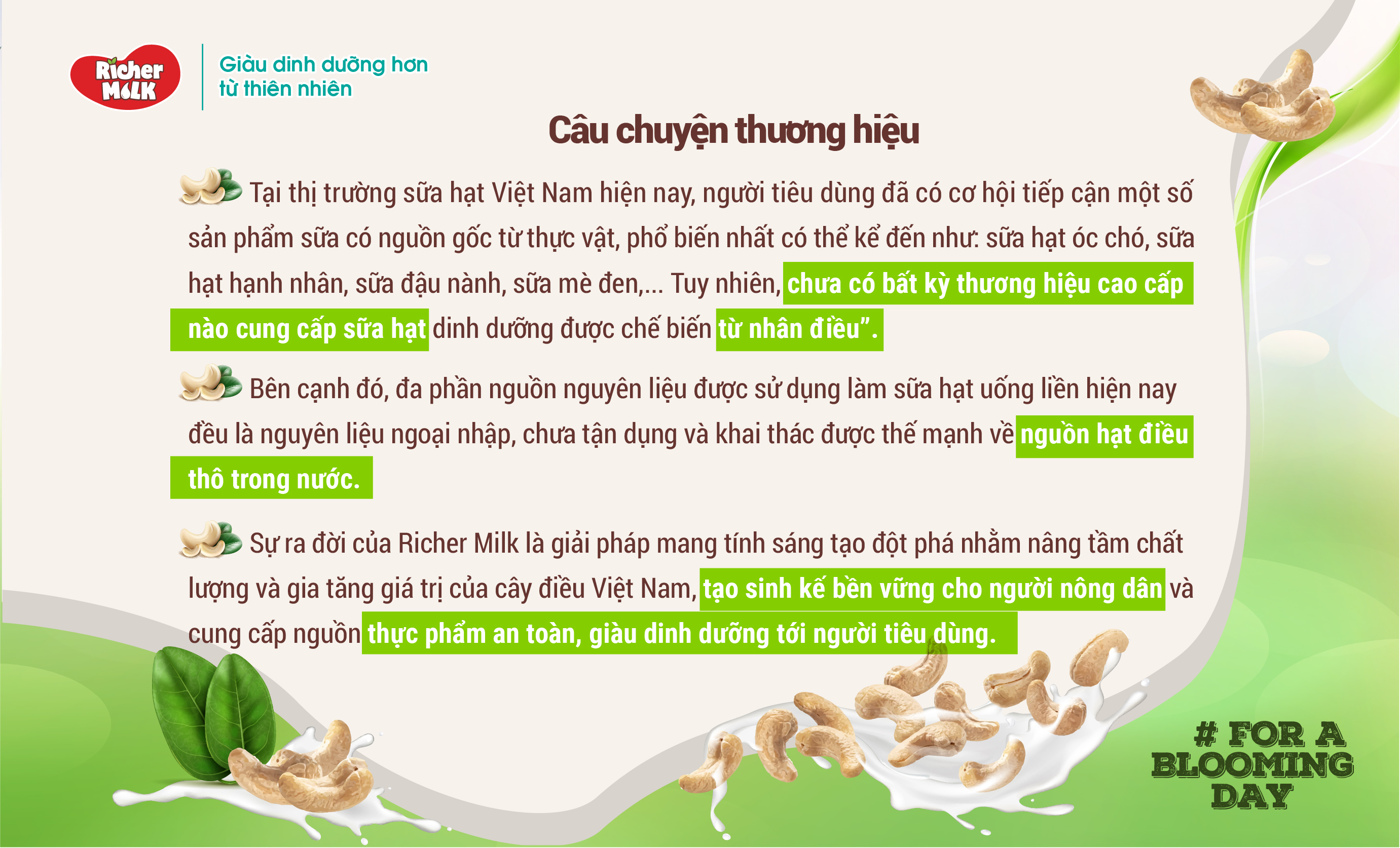 Lốc Sữa Hạt Điều Không Đường Richer Milk 180ml