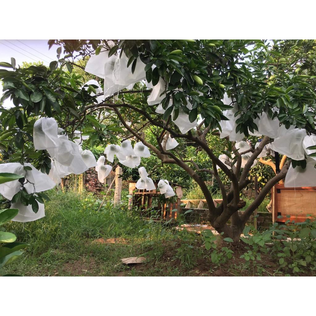 Set 100 túi bọc trái cây kích thước 25 x 30cm, bao trai bưởi, xoài, mãng cầu kiểu dây rút