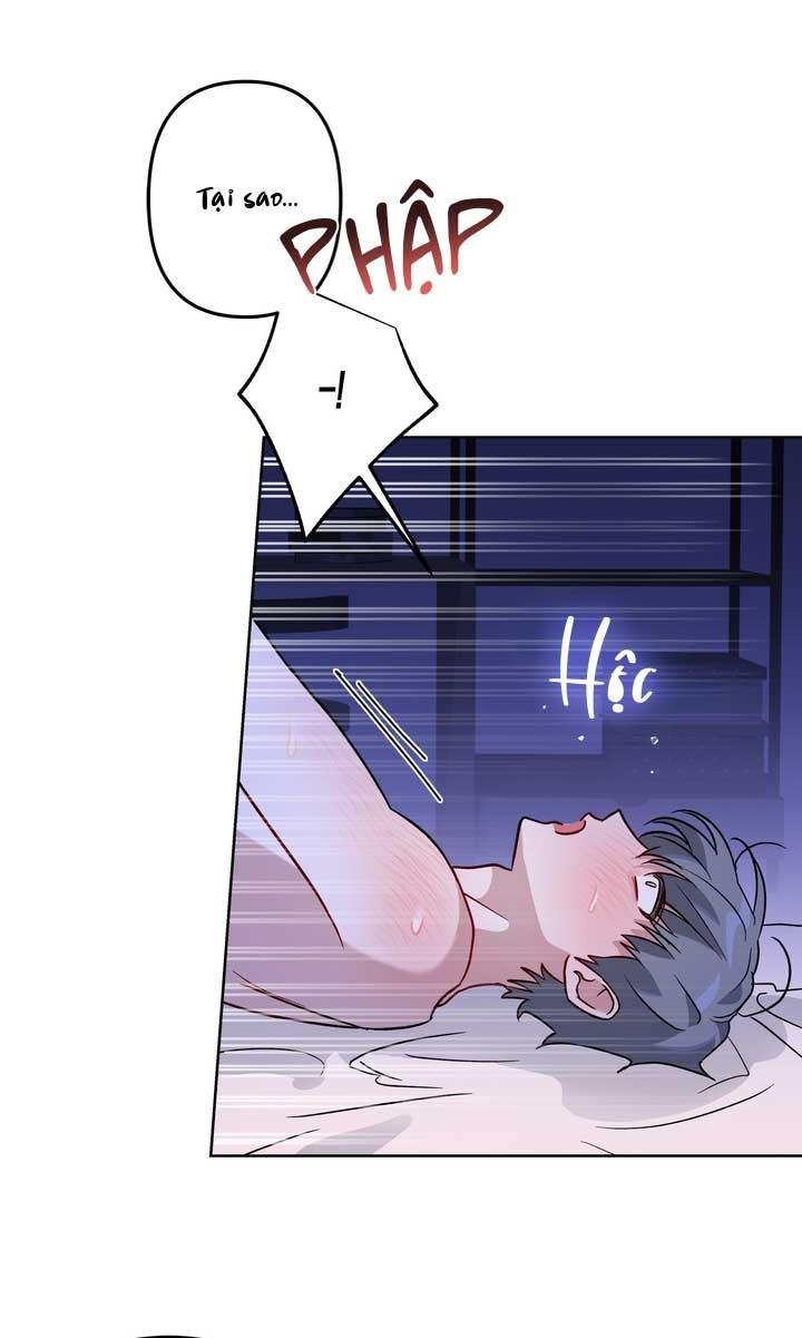 xin hãy chống lưng cho tôi chapter 2 42