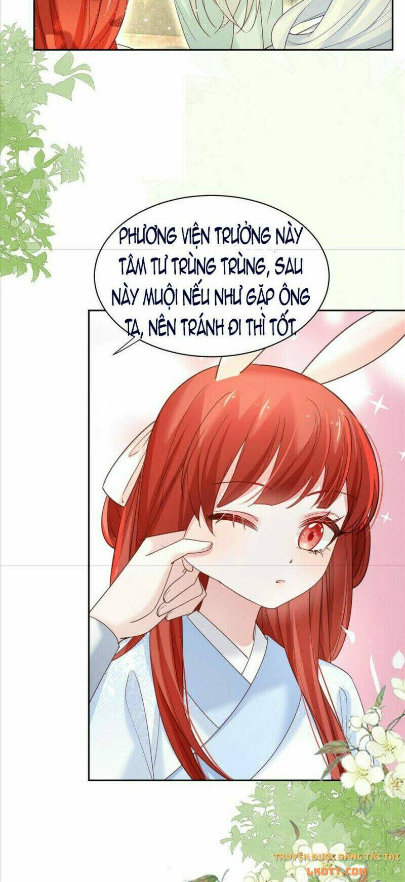 hắc hóa nam chính trực tuyến nuôi thỏ chapter 66 18